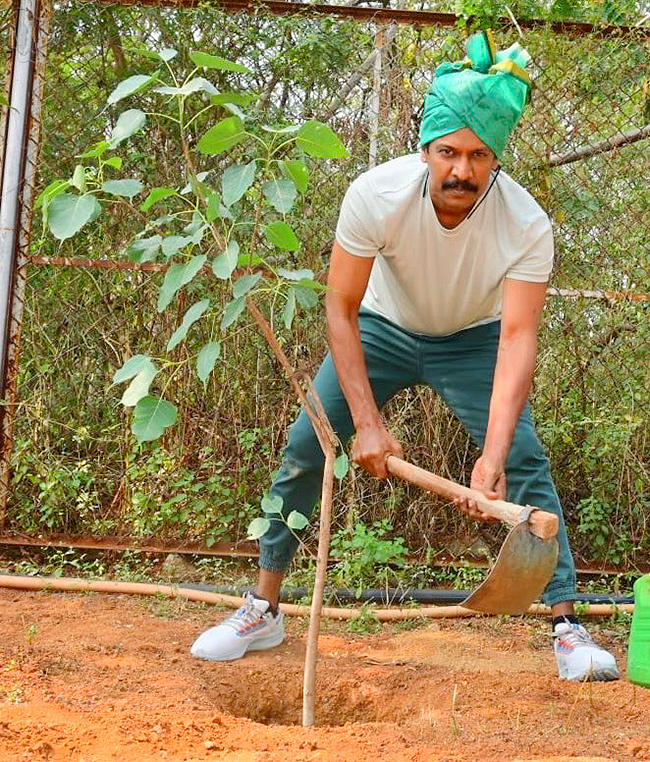 Celebrities Plants Tree Sapling On World Environment Day - Sakshi7