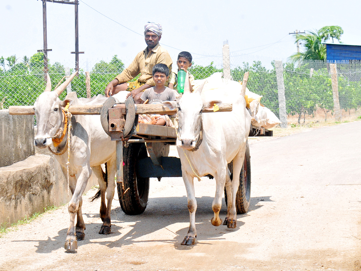 Best Photos of The Week in AP and Telangana Photo Gallery - Sakshi2