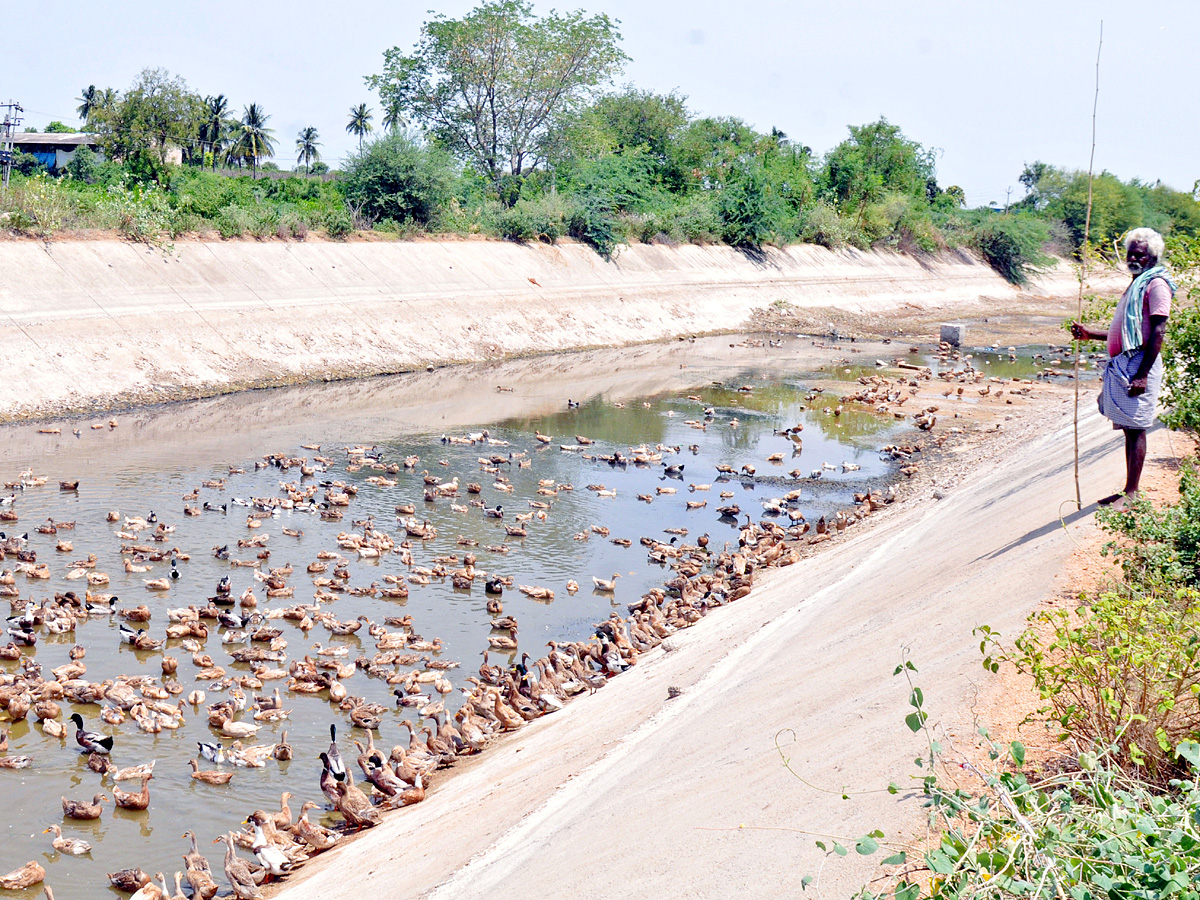 Best Photos of The Week in AP and Telangana Photo Gallery - Sakshi3