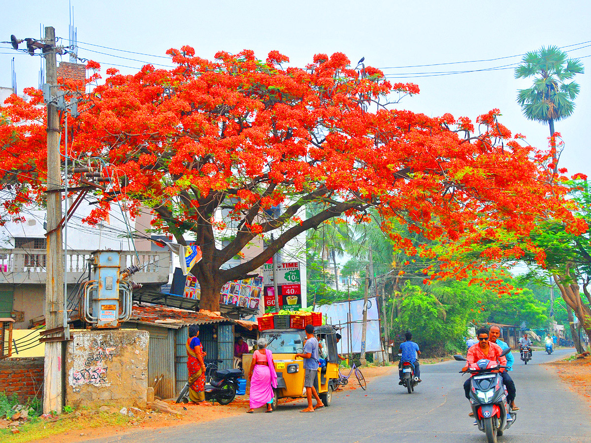 Best Photos of The Week in AP and Telangana Photo Gallery - Sakshi41