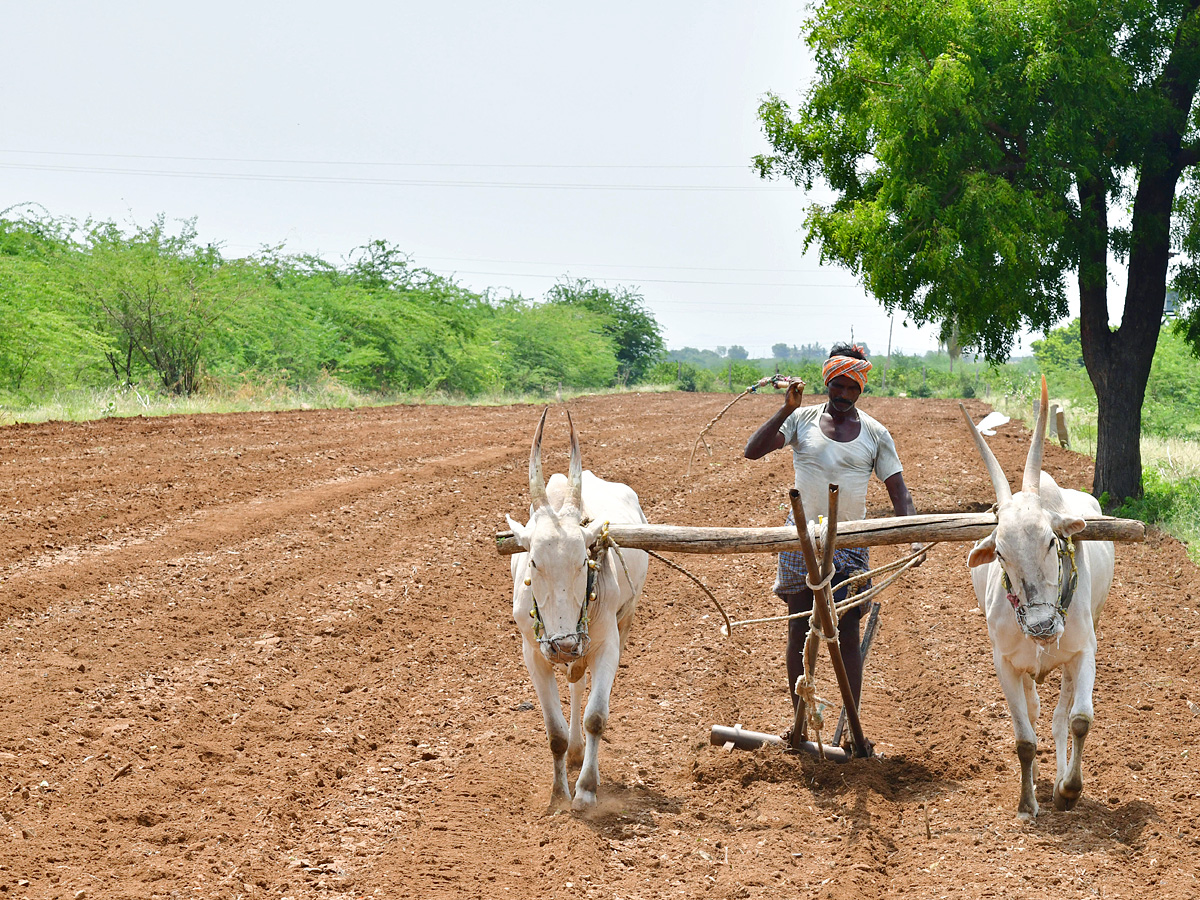 Best Photos of The Week in AP and Telangana Photo Gallery - Sakshi7