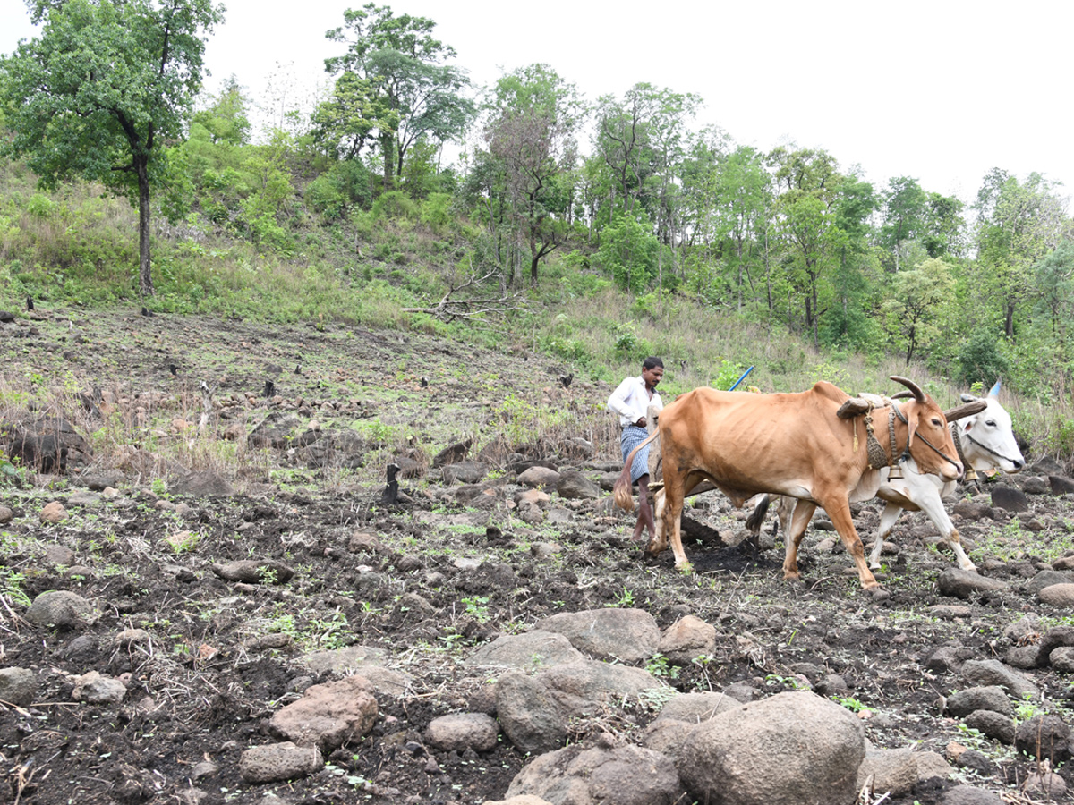 Best Photos of The Week in AP and Telangana Photo Gallery - Sakshi2