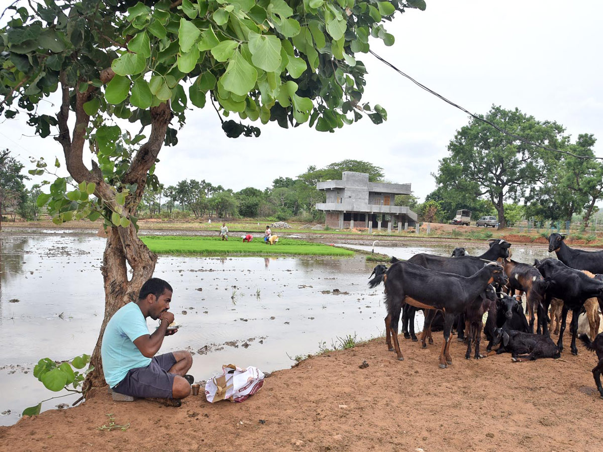 Best Photos of The Week in AP and Telangana Photo Gallery - Sakshi43