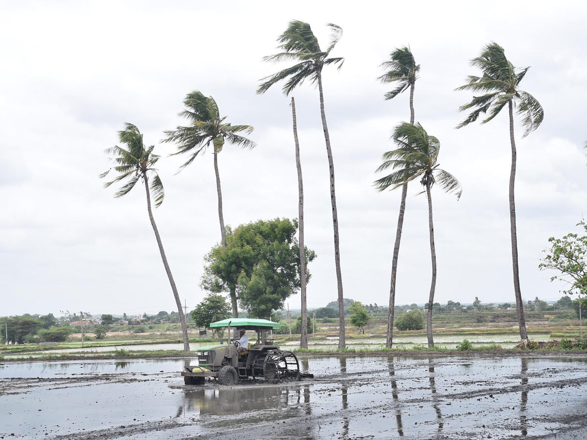 Best Photos of The Week in AP and Telangana Photo Gallery - Sakshi45