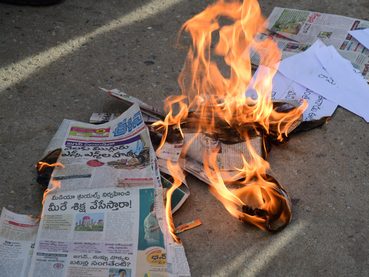 Best Photos of The Week in AP and Telangana Photo Gallery - Sakshi47