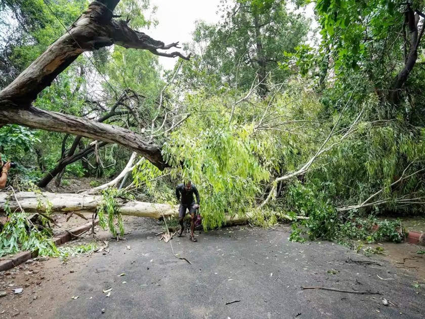 Heavy Rainfall Lashes Northern India Photo Gallery - Sakshi18