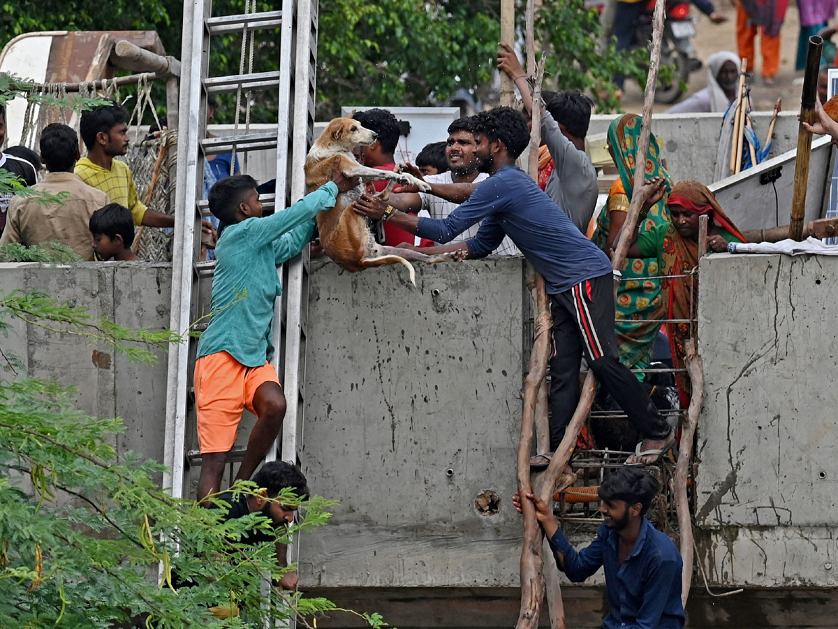 Yamuna Breaches Danger Level Waterlogging in Parts of Delhi Photos - Sakshi25