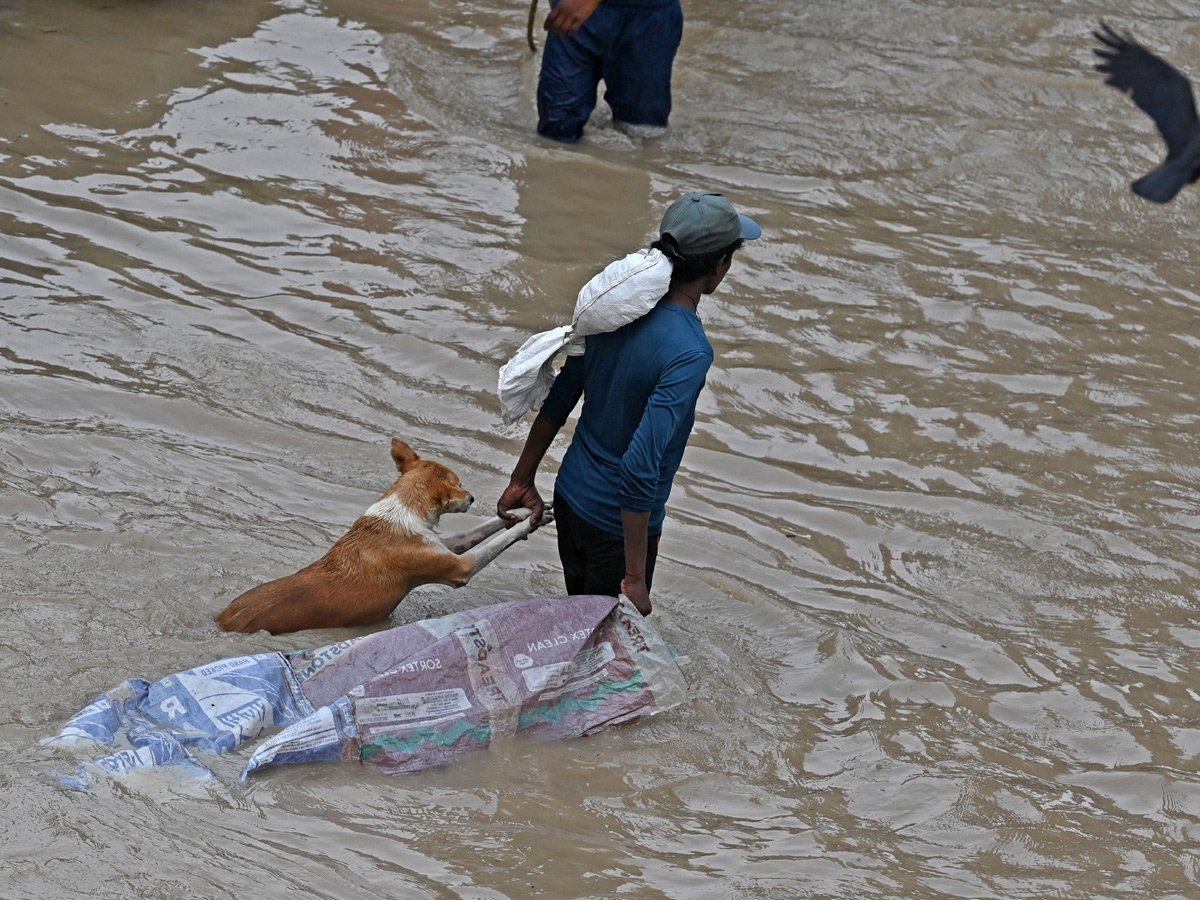 Yamuna Breaches Danger Level Waterlogging in Parts of Delhi Photos - Sakshi43