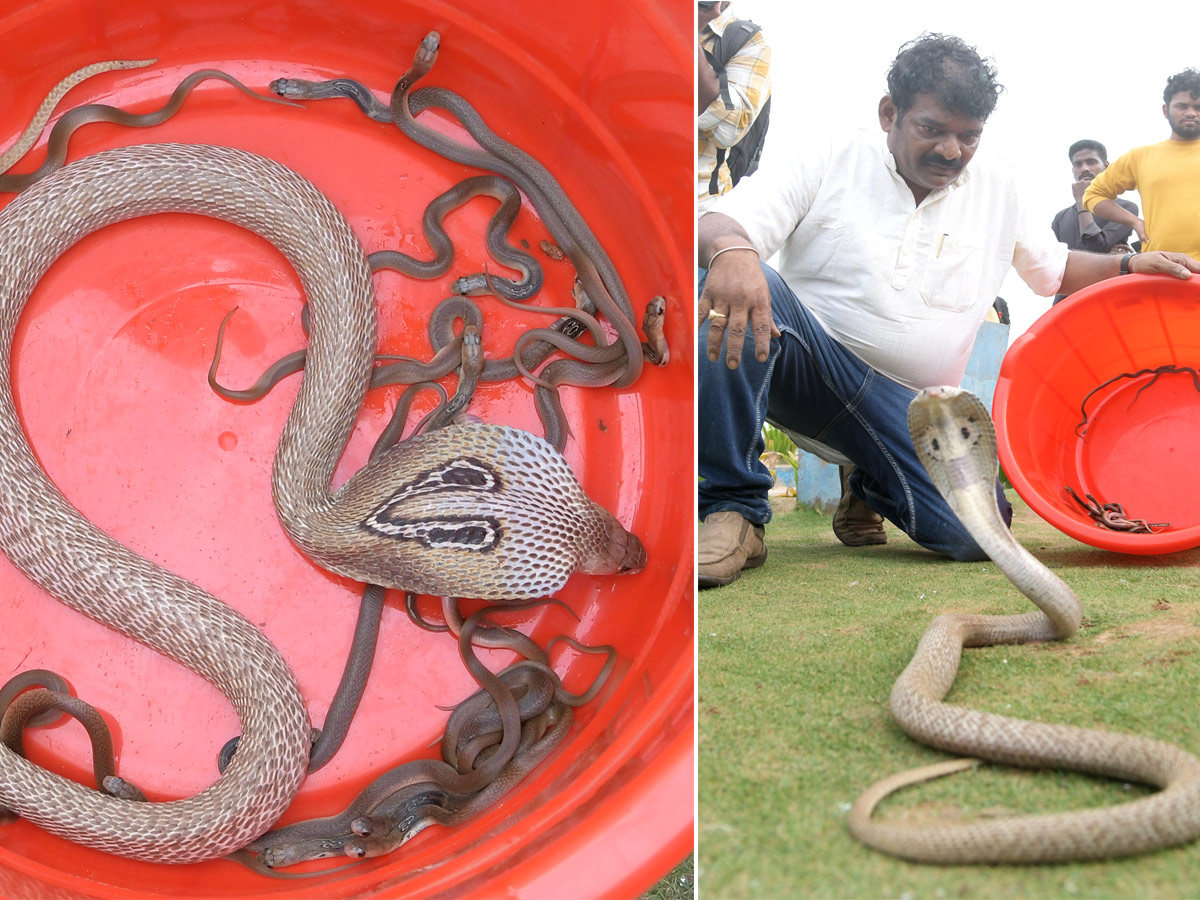 snake show in rk beach vizag - Sakshi1