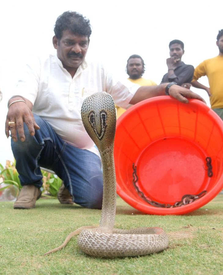 snake show in rk beach vizag - Sakshi3