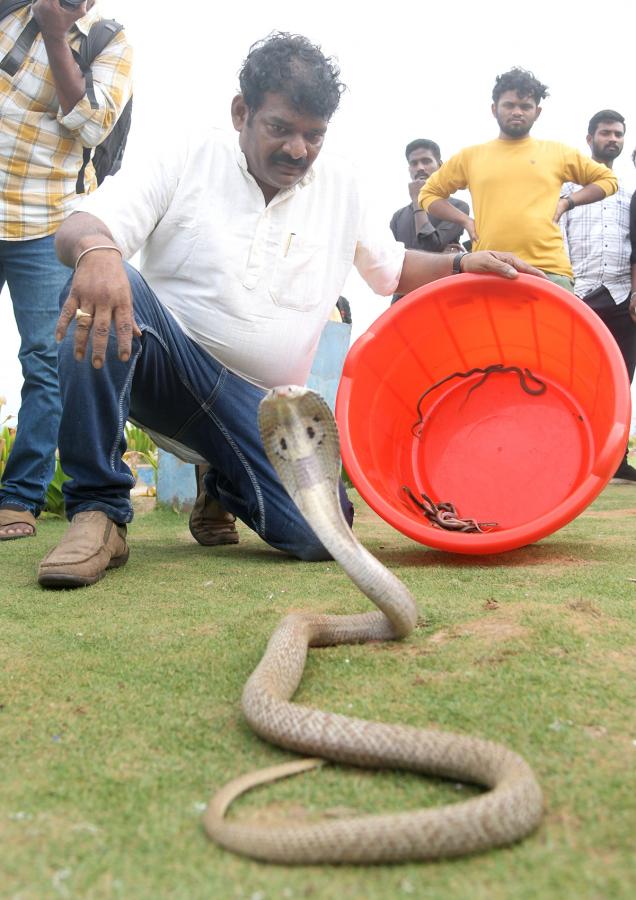 snake show in rk beach vizag - Sakshi5