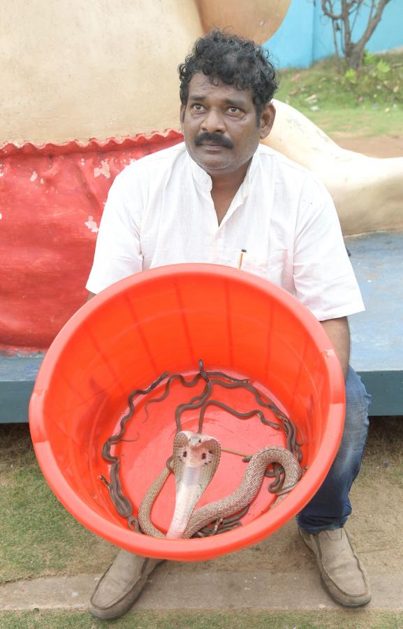 snake show in rk beach vizag - Sakshi7