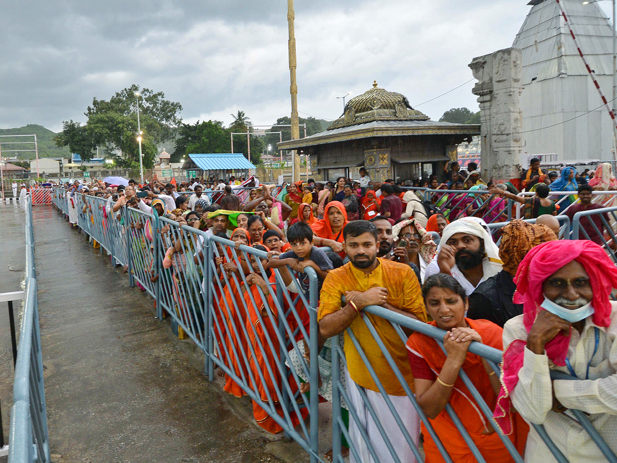 Tirumala Temple Ainavara Asthanam 2023 Photos - Sakshi16