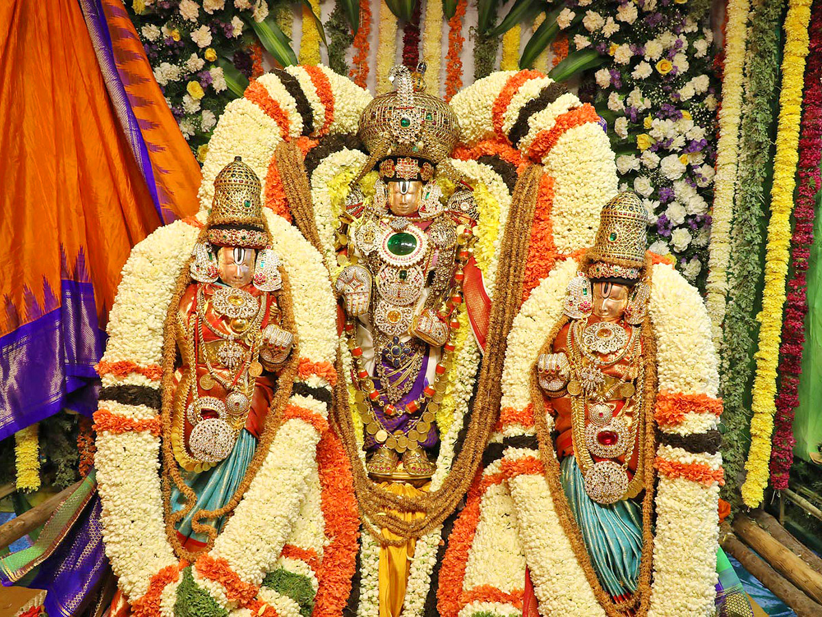 Tirumala Temple Ainavara Asthanam 2023 Photos - Sakshi5