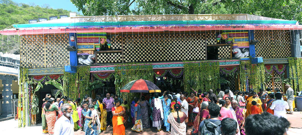 Shakambari Utsavalu Started in Vijayawada - Sakshi16