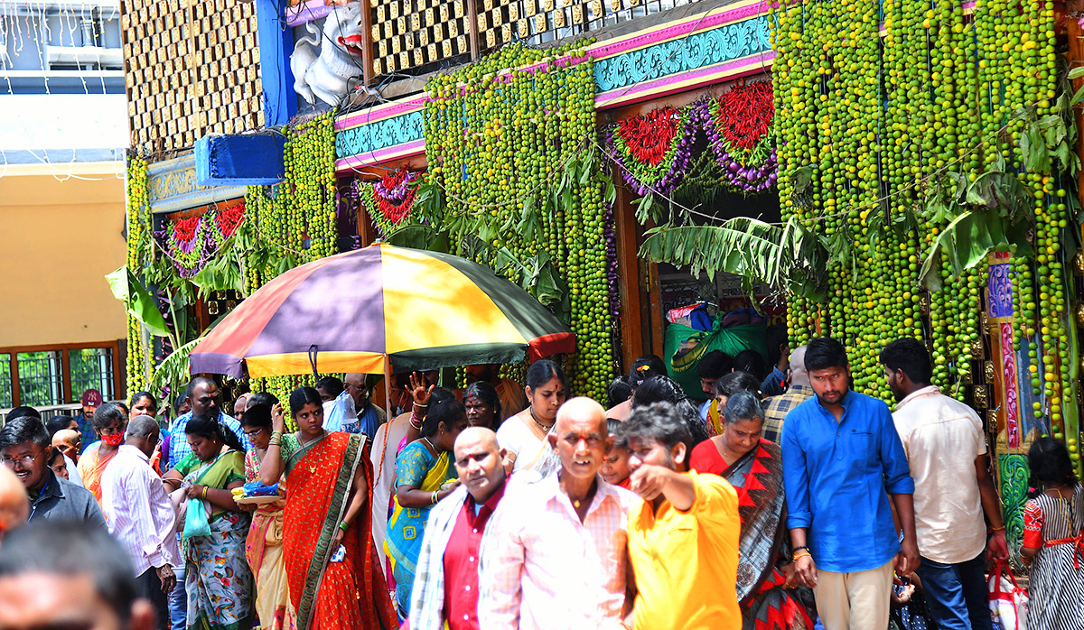 Shakambari Utsavalu Started in Vijayawada - Sakshi33