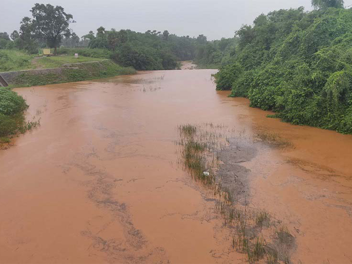 heavy rains in andhra pradesh pics - Sakshi14