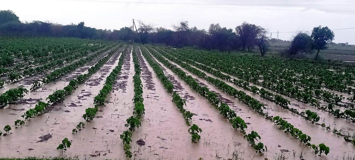 heavy rains in andhra pradesh pics - Sakshi7