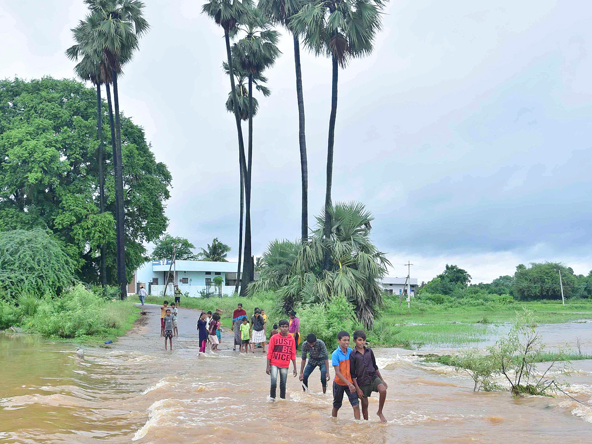 Best Photos of The Week in AP and Telangana Photo Gallery - Sakshi18