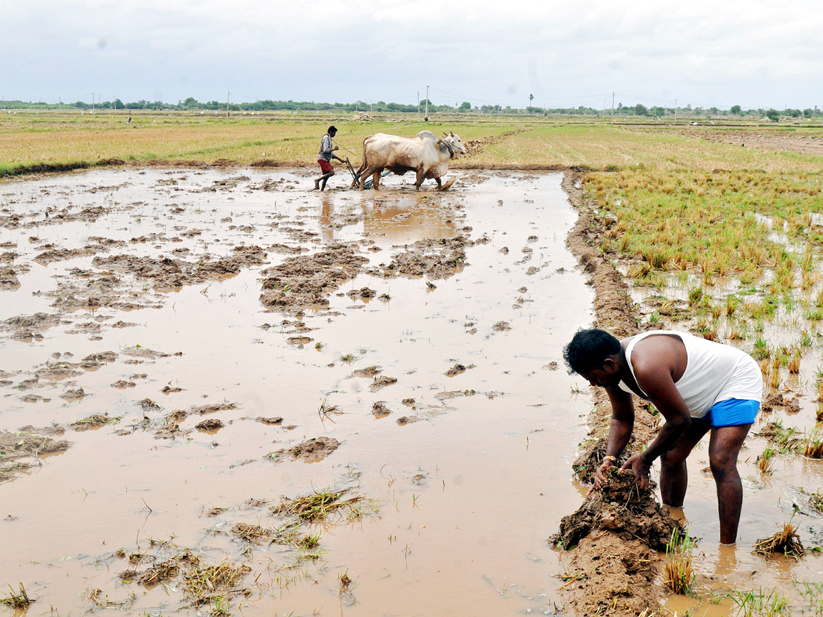 Best Photos of The Week in AP and Telangana Photo Gallery - Sakshi3