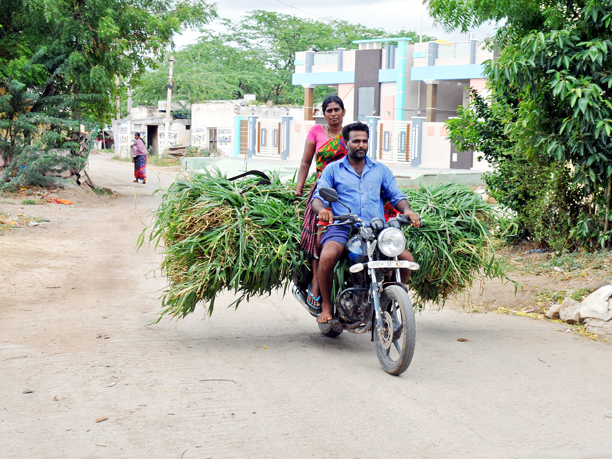 Best Photos of The Week in AP and Telangana Photo Gallery - Sakshi4