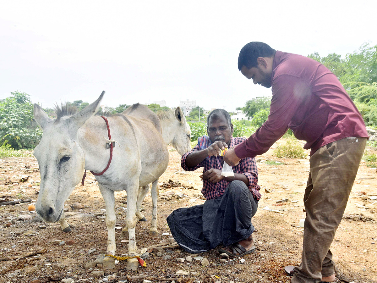 Best Photos of The Week in AP and Telangana Photo Gallery - Sakshi35