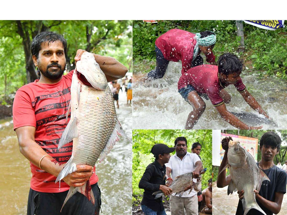 Catching fishes in flood water in heavy rain Photos - Sakshi1