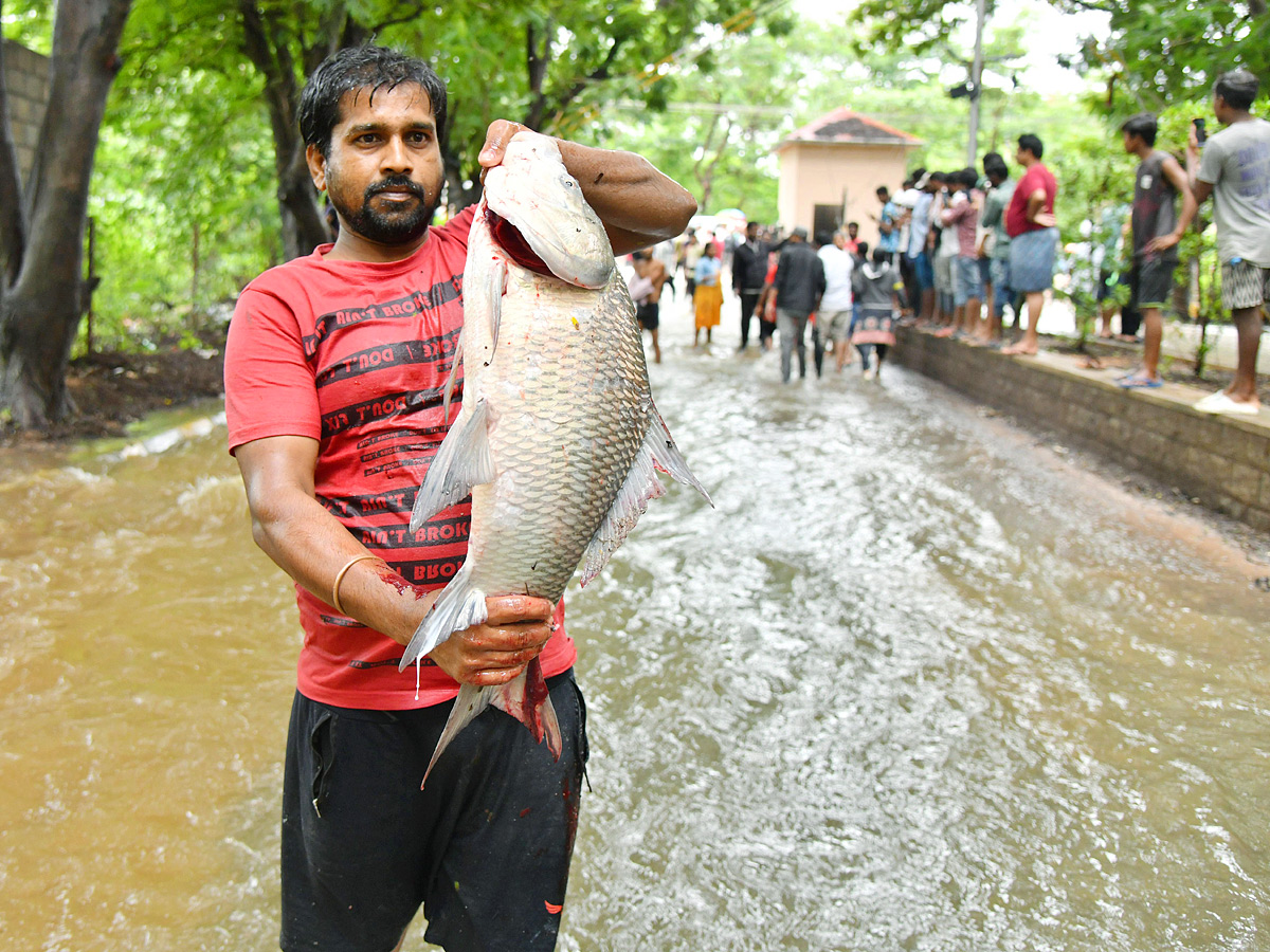 Catching fishes in flood water in heavy rain Photos - Sakshi12