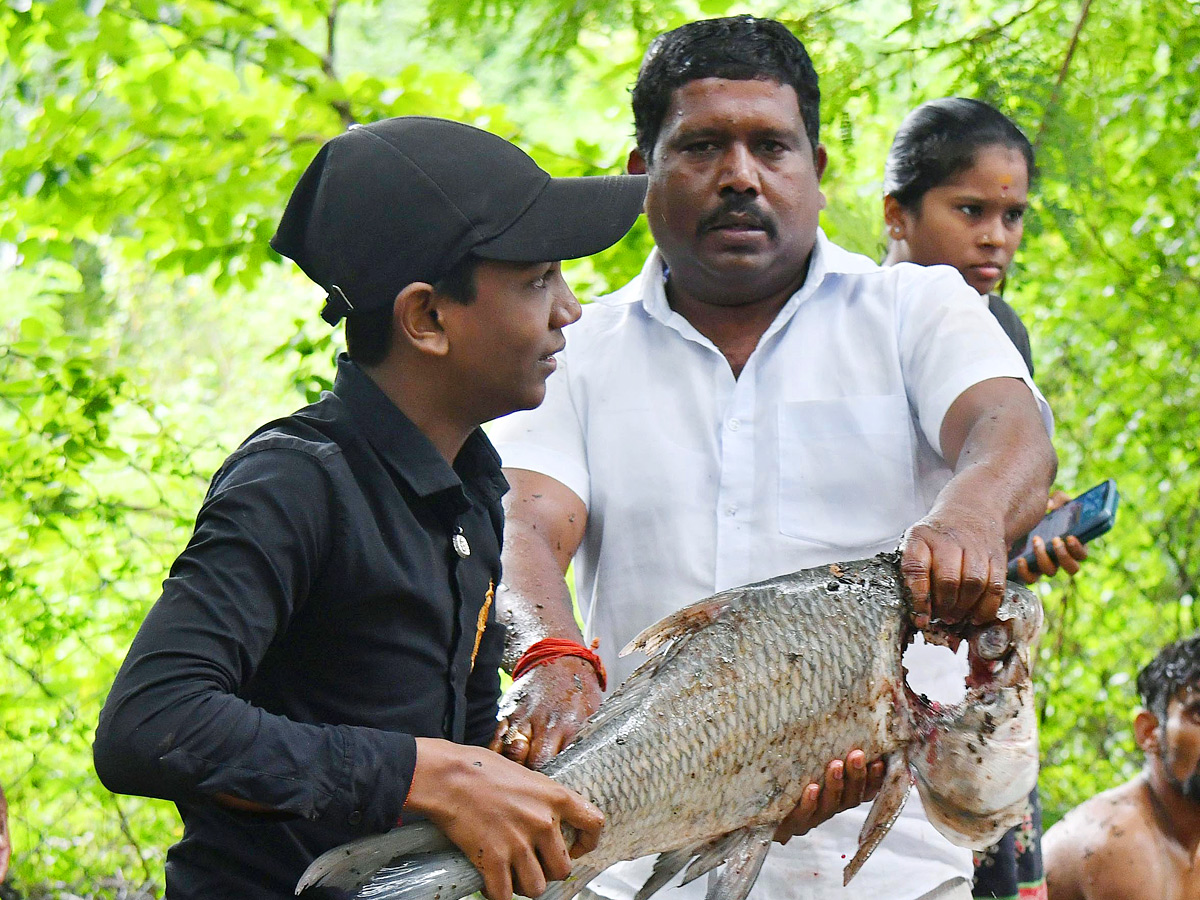 Catching fishes in flood water in heavy rain Photos - Sakshi13