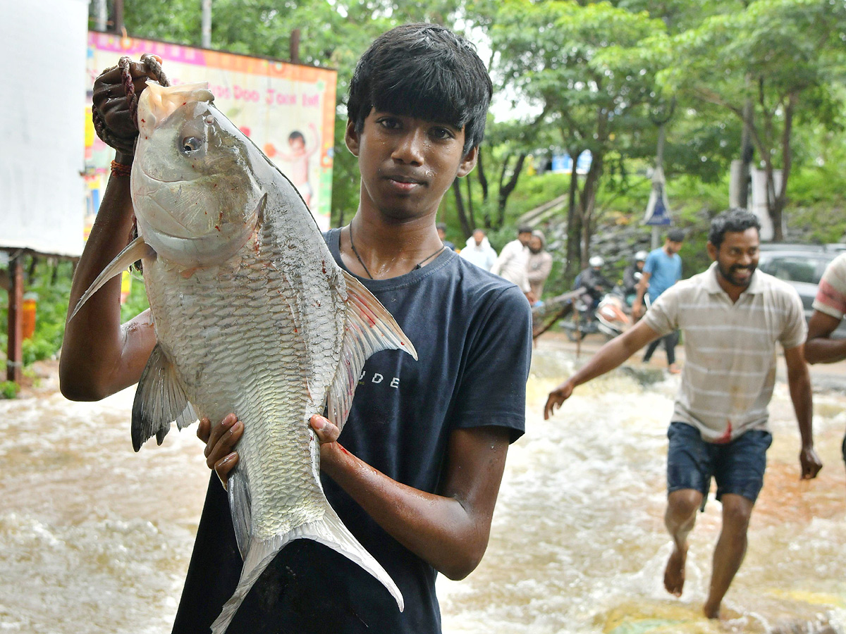 Catching fishes in flood water in heavy rain Photos - Sakshi5