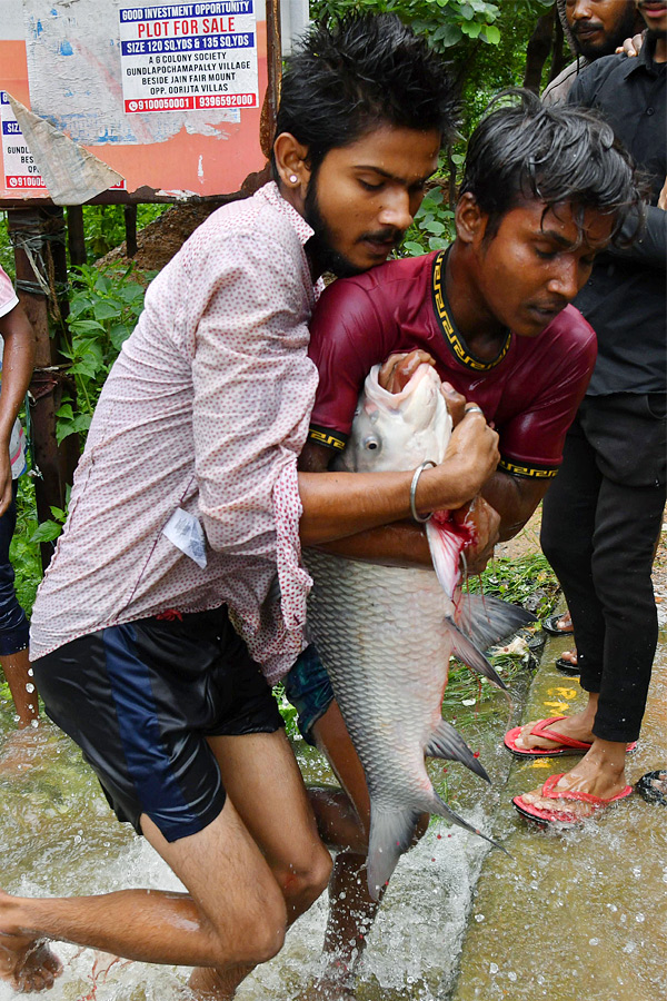 Catching fishes in flood water in heavy rain Photos - Sakshi6