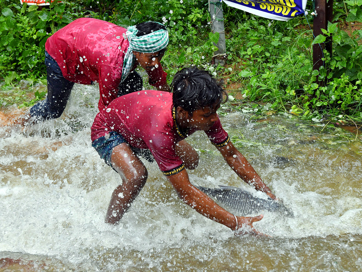 Catching fishes in flood water in heavy rain Photos - Sakshi7