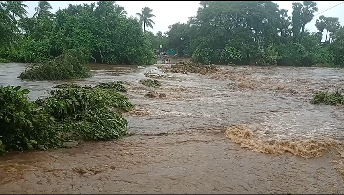 Heavy Rains in andhra pradesh update photos - Sakshi12