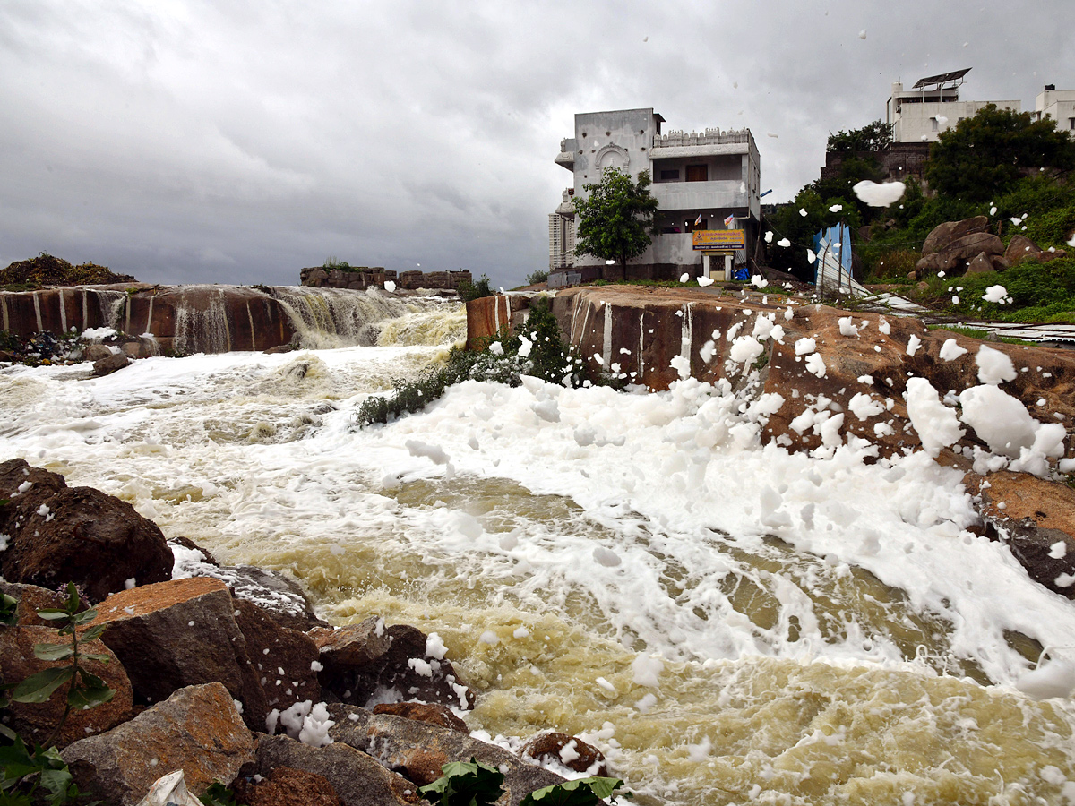 Best Photos of The Week in AP and Telangana Photo Gallery - Sakshi12