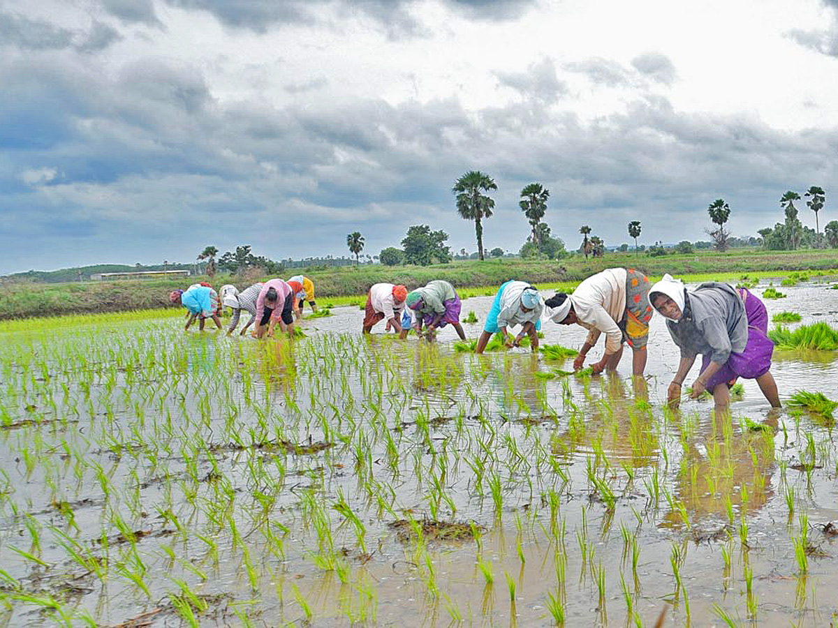 Best Photos of The Week in AP and Telangana Photo Gallery - Sakshi37