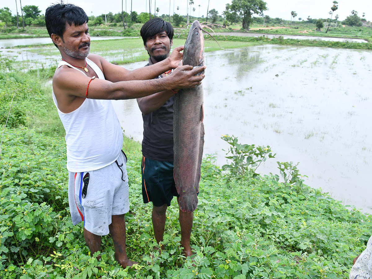 Best Photos of The Week in AP and Telangana Photo Gallery - Sakshi58