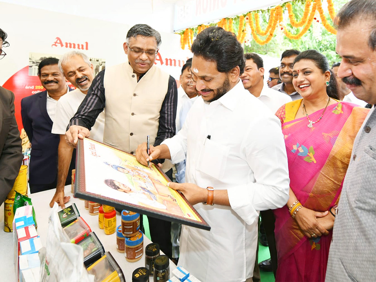 CM Jagan Chittoor Tour Photos - Sakshi19