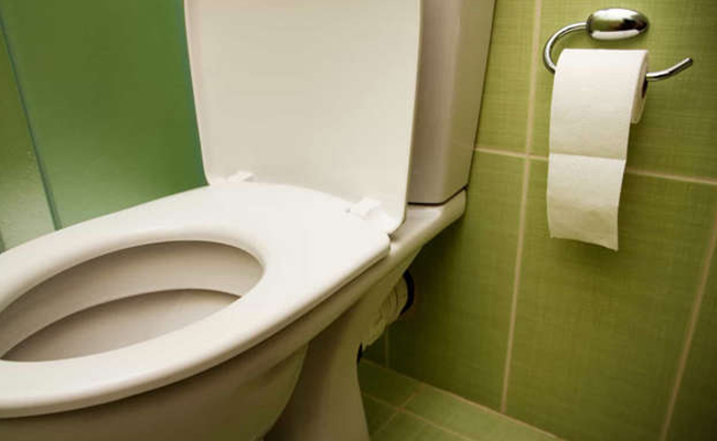 Controversial And Bizarre Toilet Facts From Around The World - Sakshi1