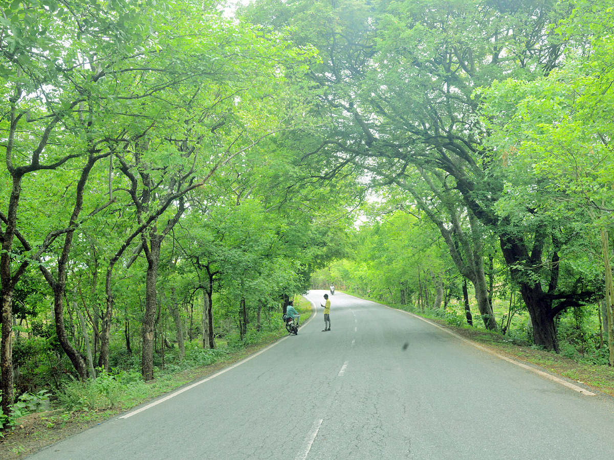 Best Photos of The Week in AP and Telangana Photo Gallery - Sakshi26