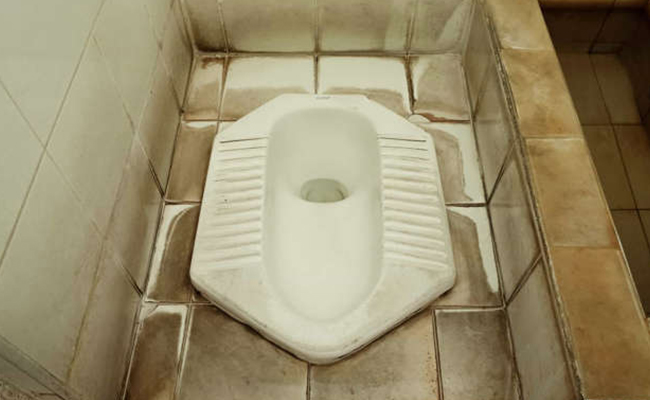 Controversial And Bizarre Toilet Facts From Around The World - Sakshi19