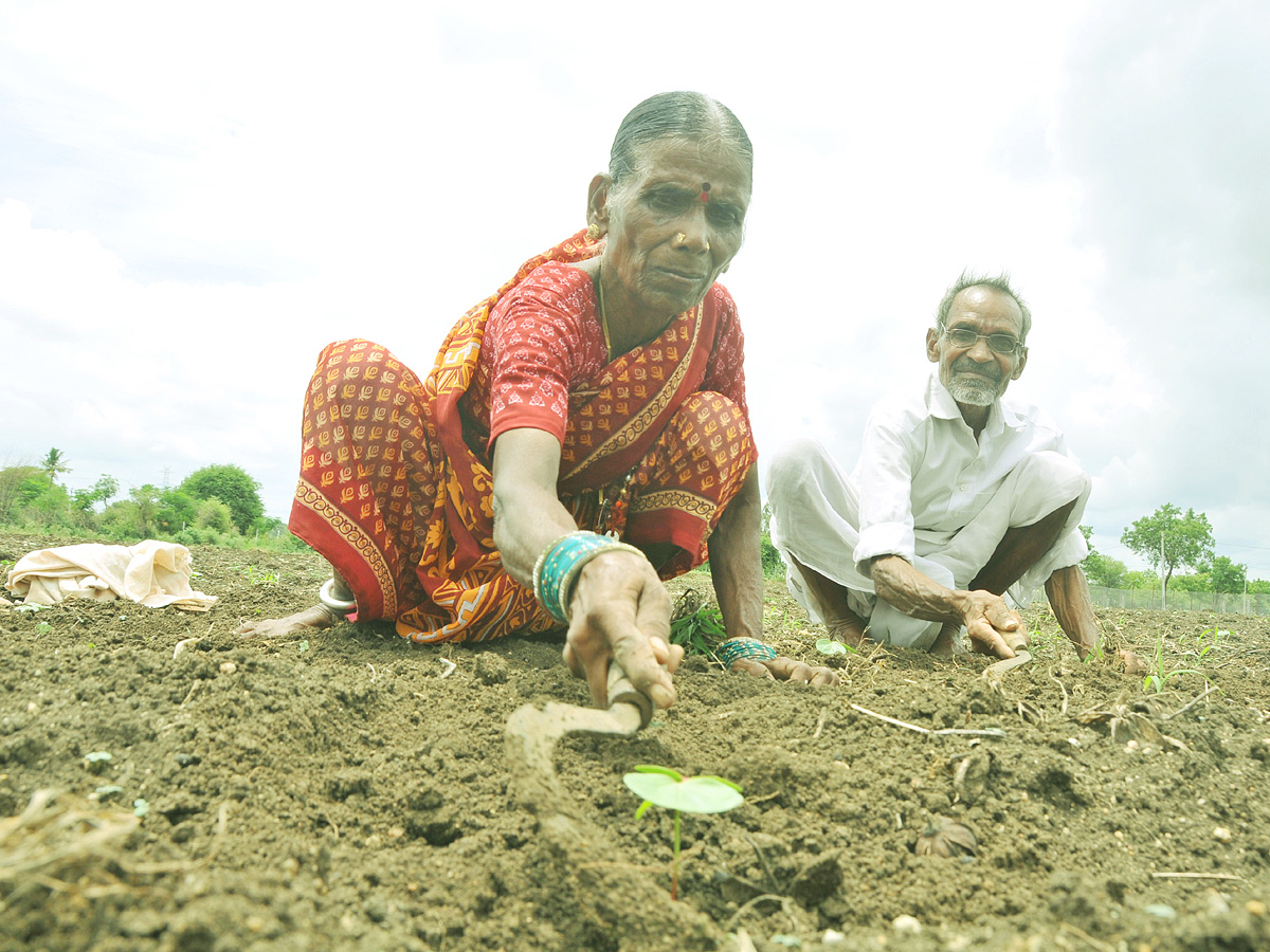 Best Photos of The Week in AP and Telangana Photo Gallery - Sakshi29