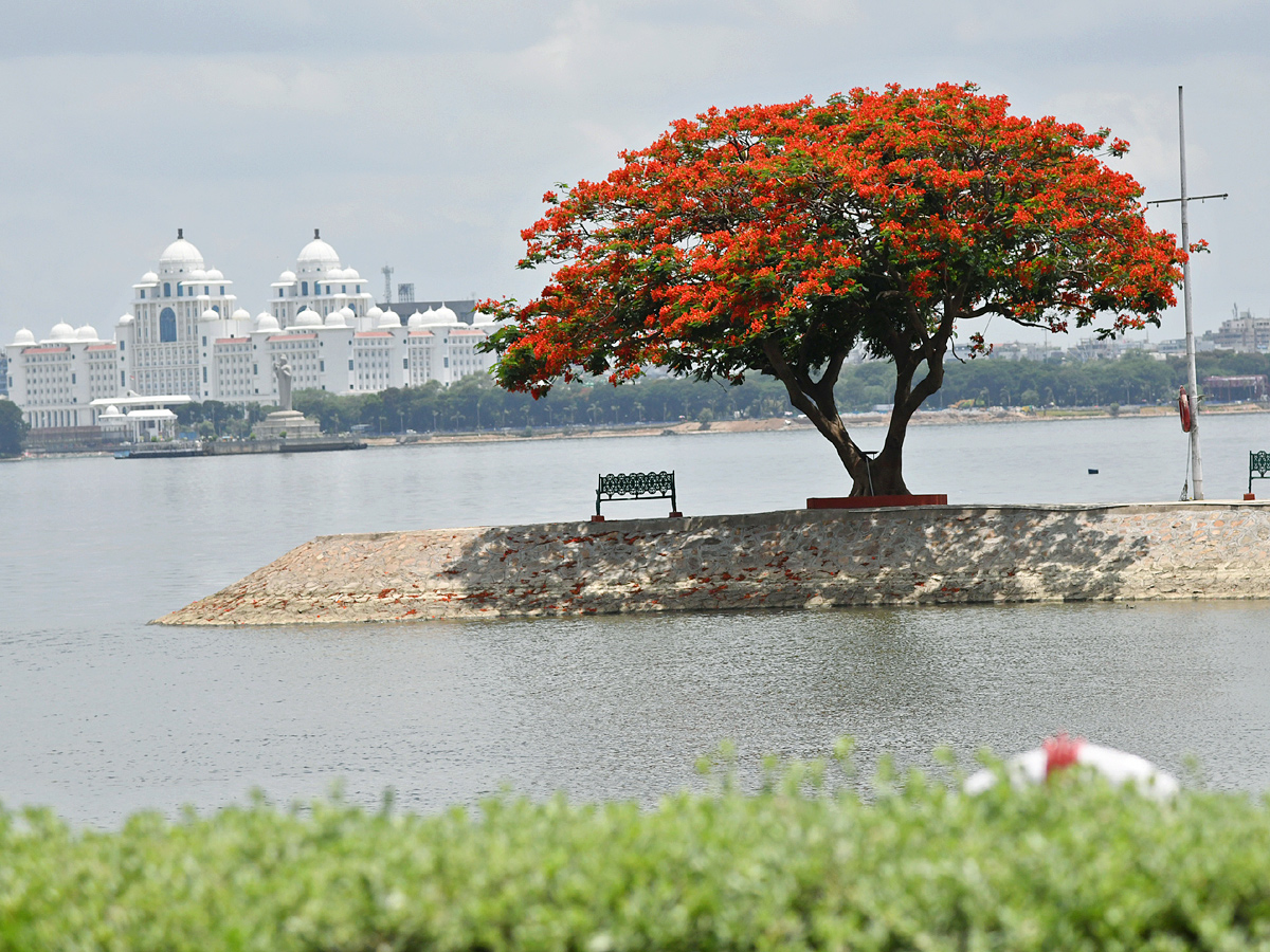 Best Photos of The Week in AP and Telangana Photo Gallery - Sakshi4