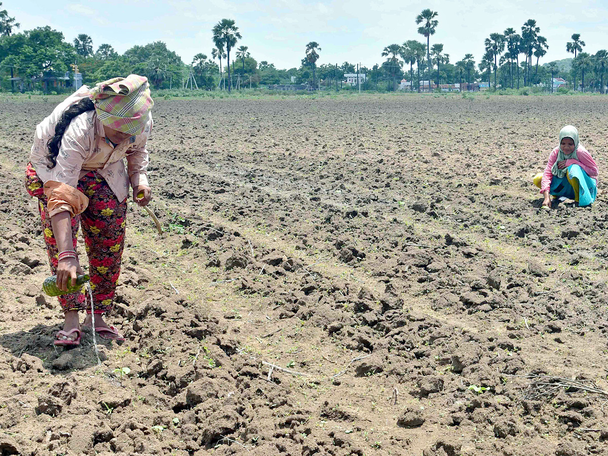 Best Photos of The Week in AP and Telangana Photo Gallery - Sakshi6