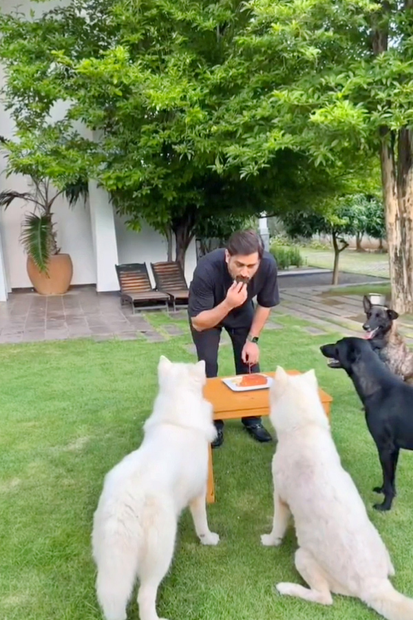 MS Dhoni celebrates 42nd birthday with pet dogs in Ranchi Photos - Sakshi9