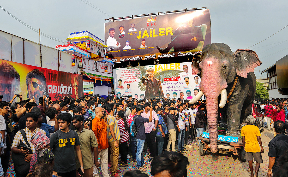 Rajinikanth Fans at Release of Jailer Theatre - Sakshi5