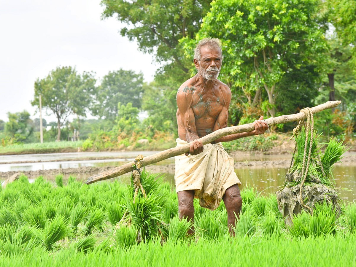 Best Photos of The Week in AP and Telangana Photo Gallery - Sakshi1