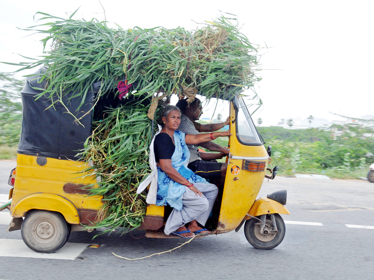 Best Photos of The Week in AP and Telangana Photo Gallery - Sakshi5