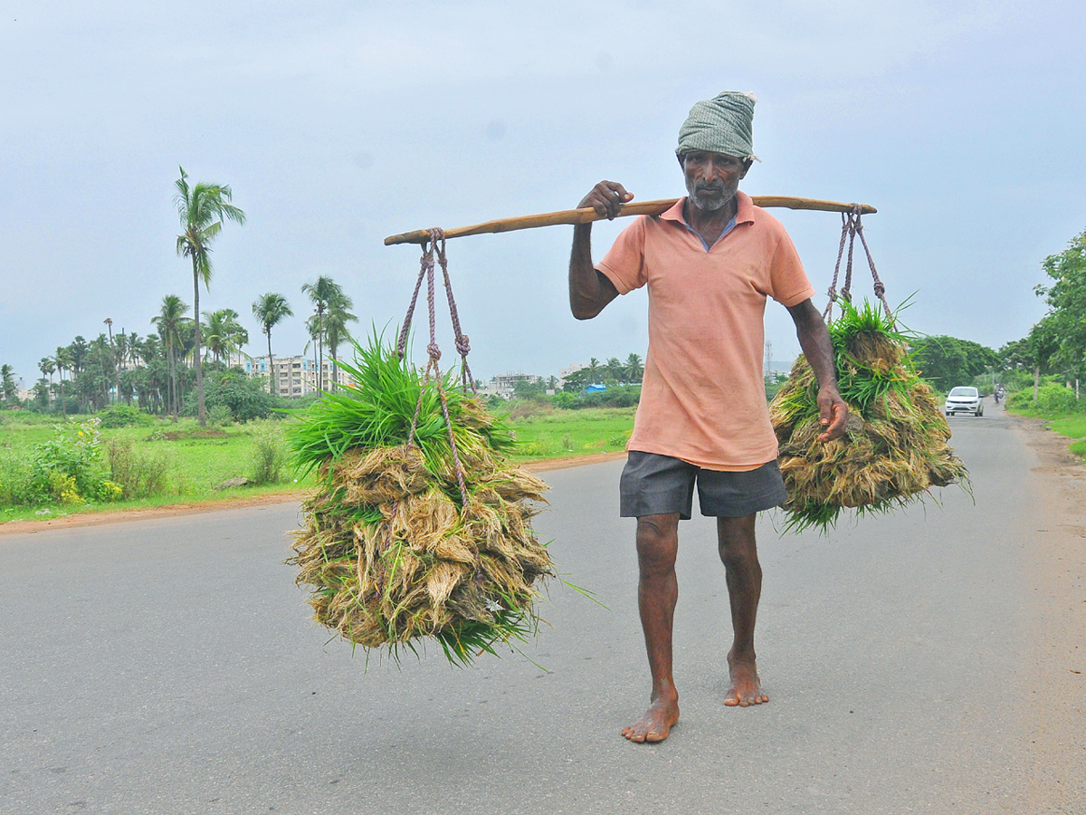 Best Photos of The Week in AP and Telangana Photo Gallery - Sakshi28