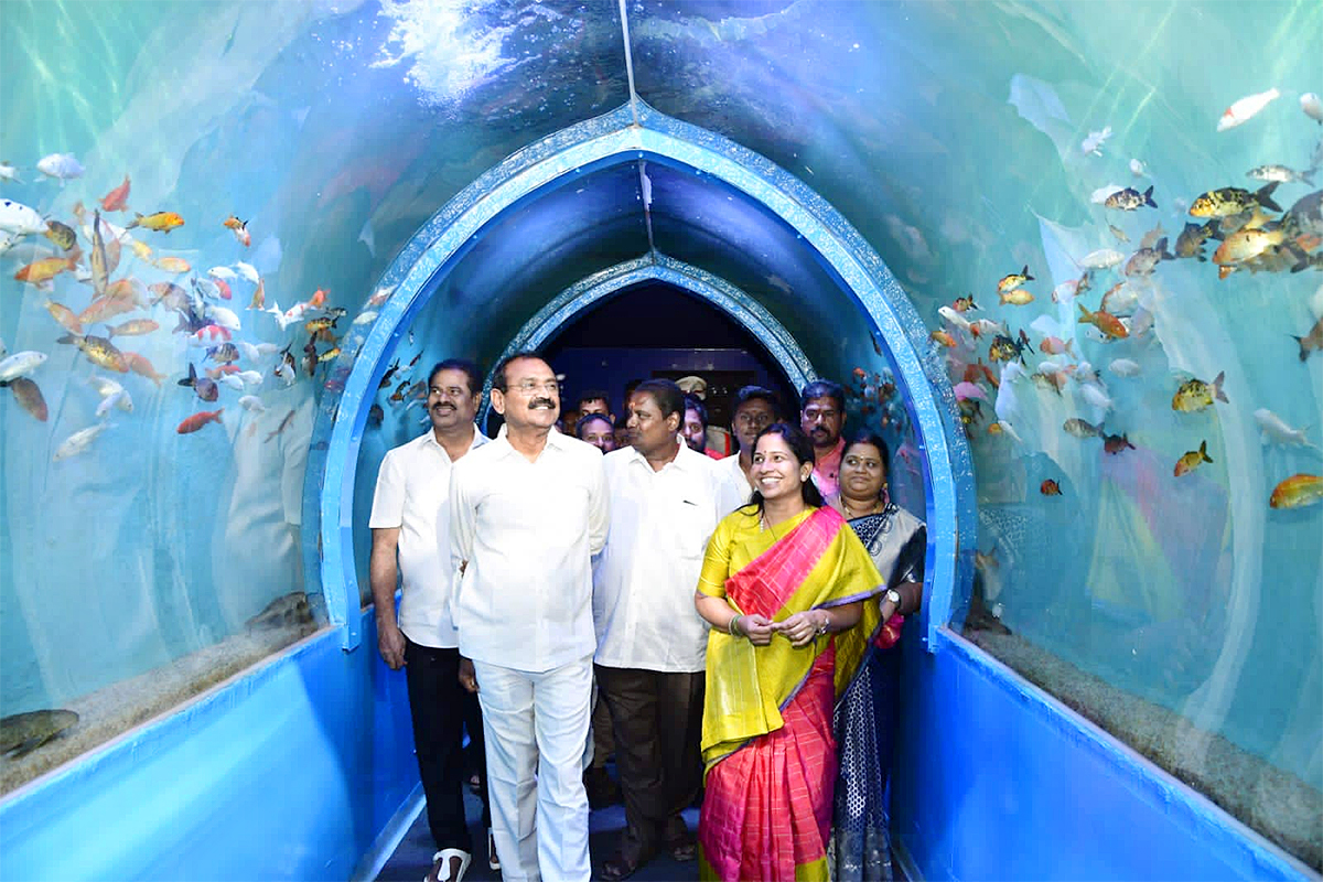 InPics: TTD New Chairman Bhumana Karunakar Reddy Rare Photos Gallery - Sakshi27