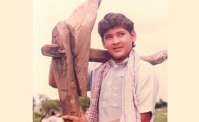 Mahesh Babu Childhood Photos  - Sakshi5